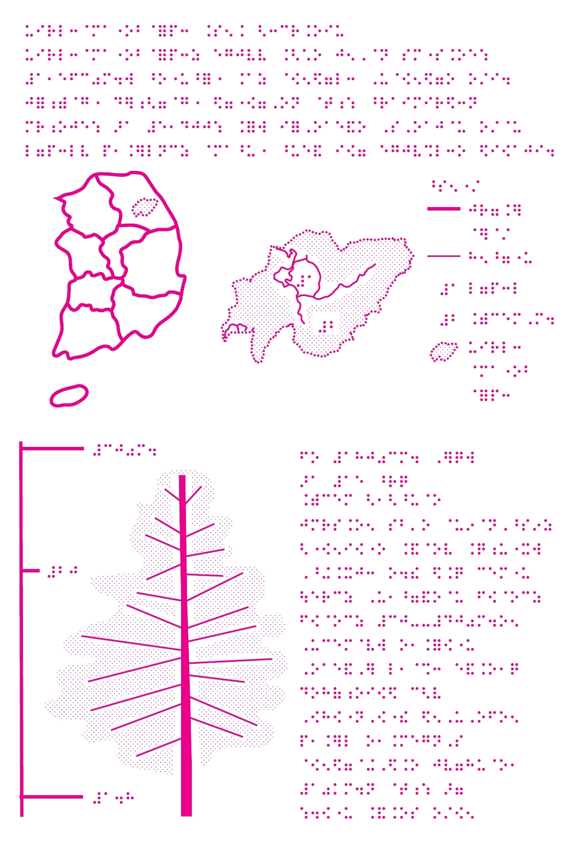 ‘Beautiful National Parks at Your Fingertips' Creating Braille Maps for
